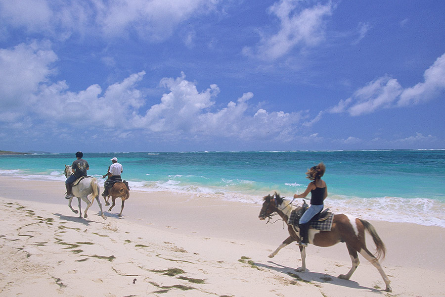 Horseback riding along the beach